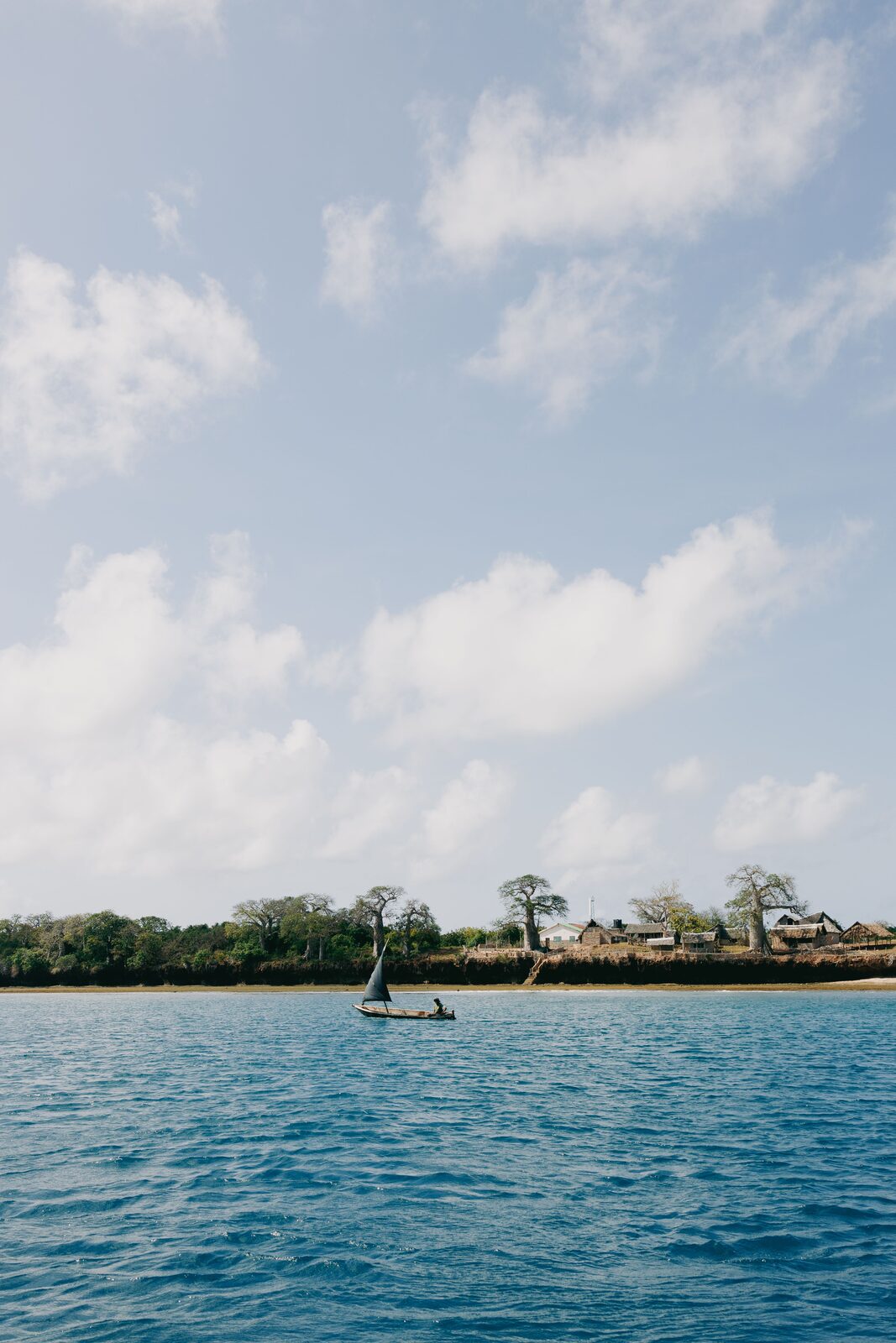 Dhow a vela al largo di Mombasa
